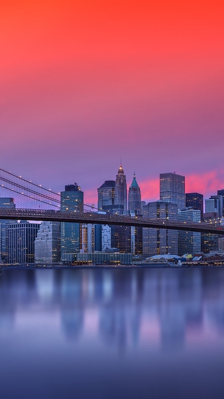 认股权证- ConvEx